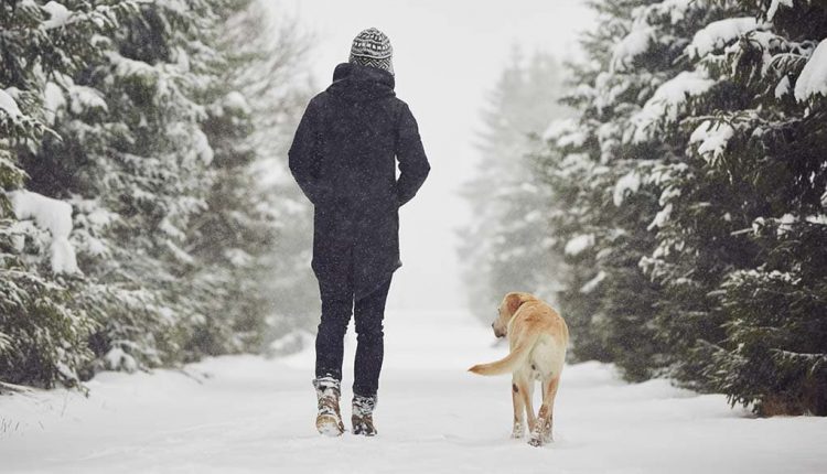 Winter dangers: Your dog should be wearing a warm winter coat and boots when walking in the snow.