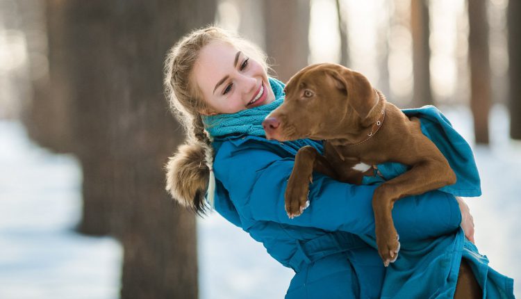 Hard Frost: A medium, short-haired dog wearing a warm coat and boots on a snowy field.