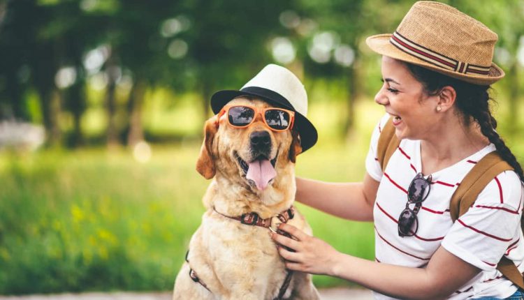 A happy dog running in a grassy field with dog owner