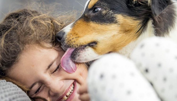 A happy dog playing with a child