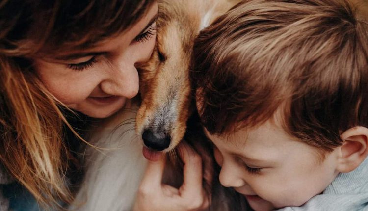 A dog owner holding their dog's paw, with a list of tips for maintaining their health in the background