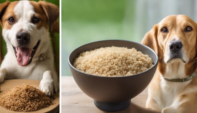 canine safe grain options