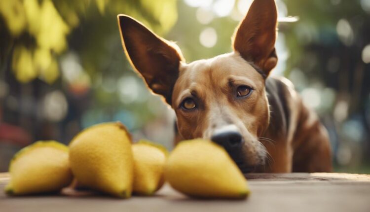 canines consume tropical fruit