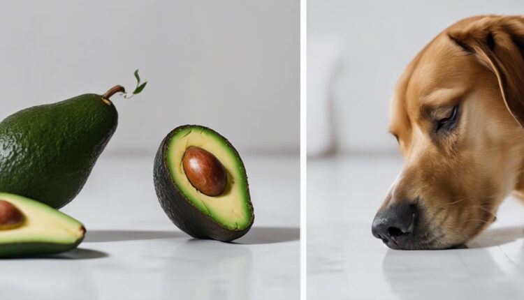 cautious avocado consumption allowed
