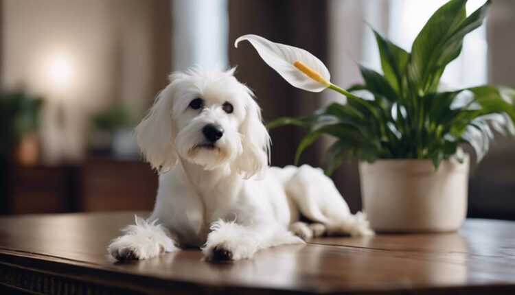 dangerous plant for dogs