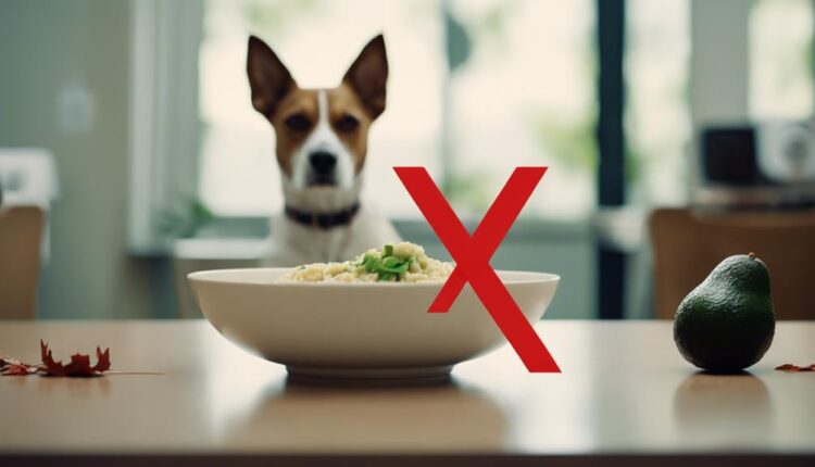 dangers of avocado for