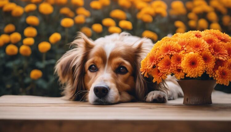 dangers of flower exposure