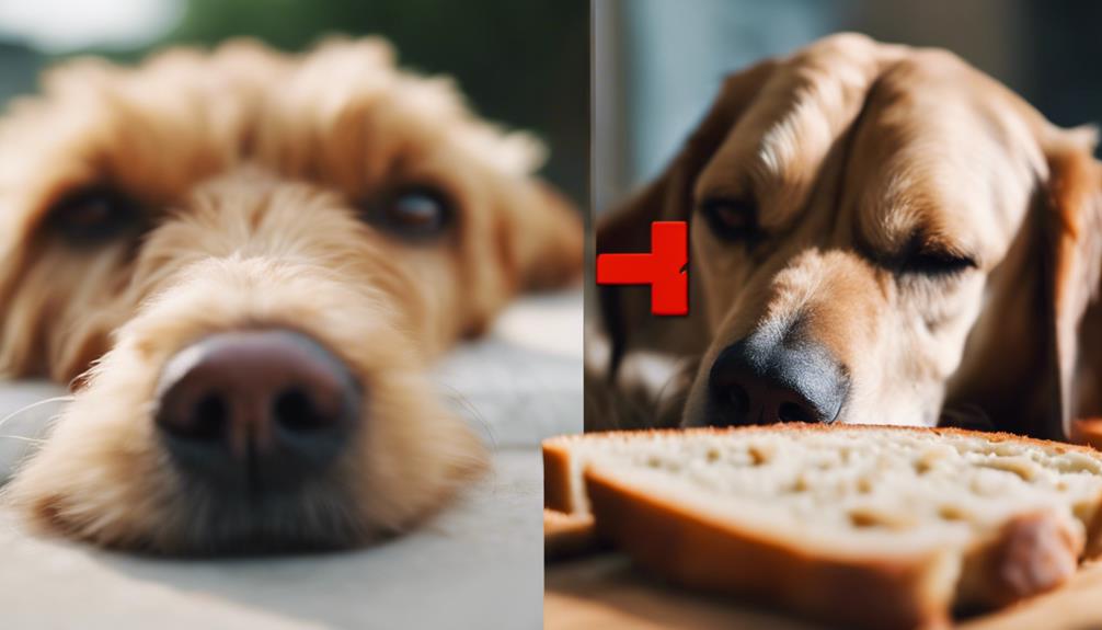 dangers of garlic consumption