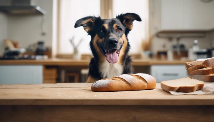 dogs and bread safety
