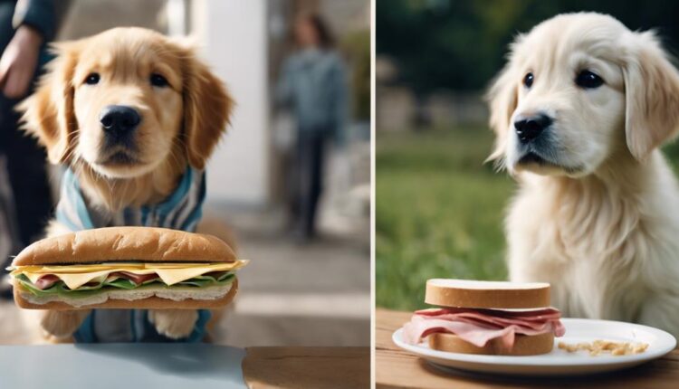 dogs and uncrustable safety