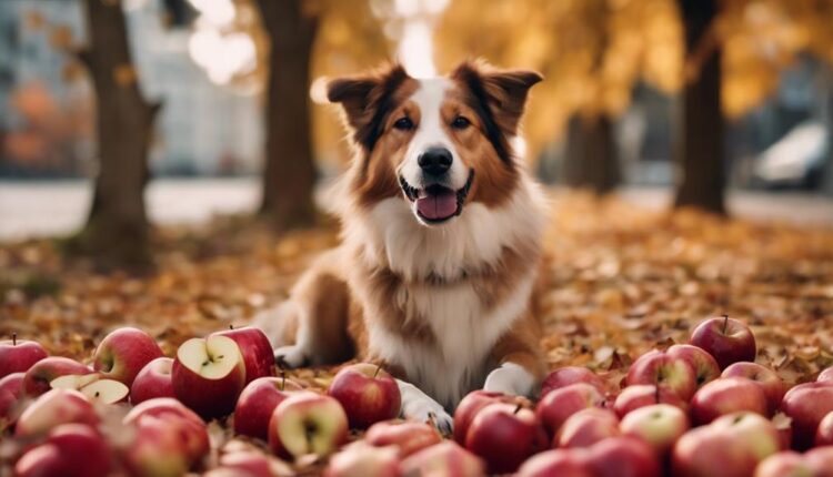 dogs can eat apples