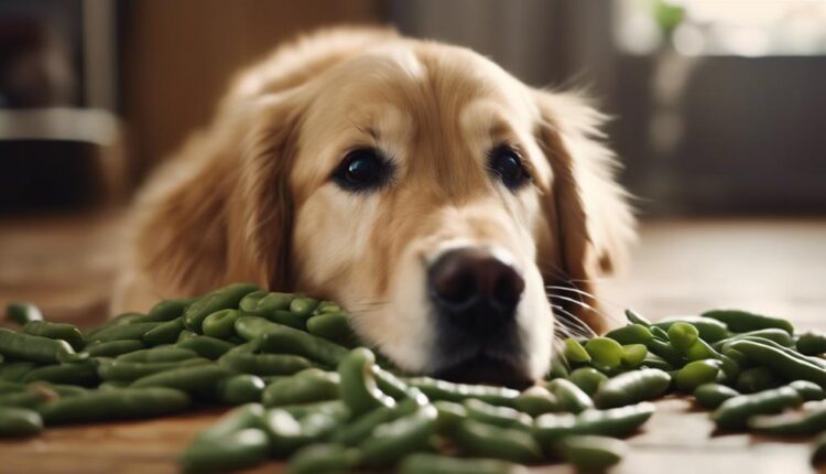 dogs can eat beans