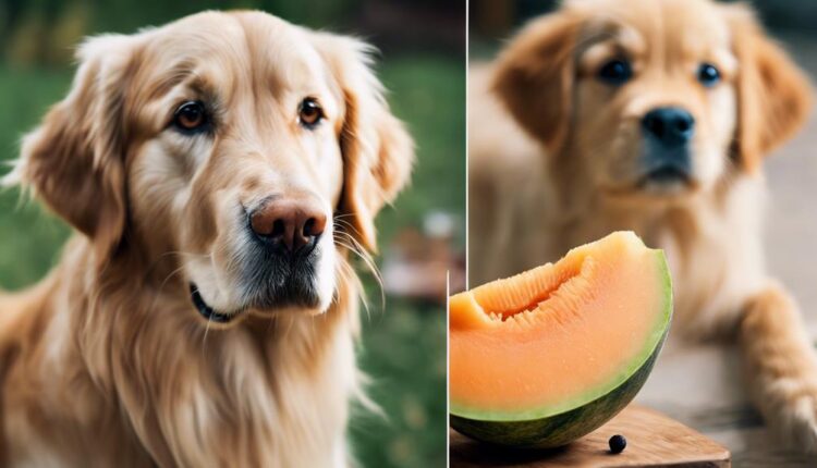 dogs can eat cantaloupe