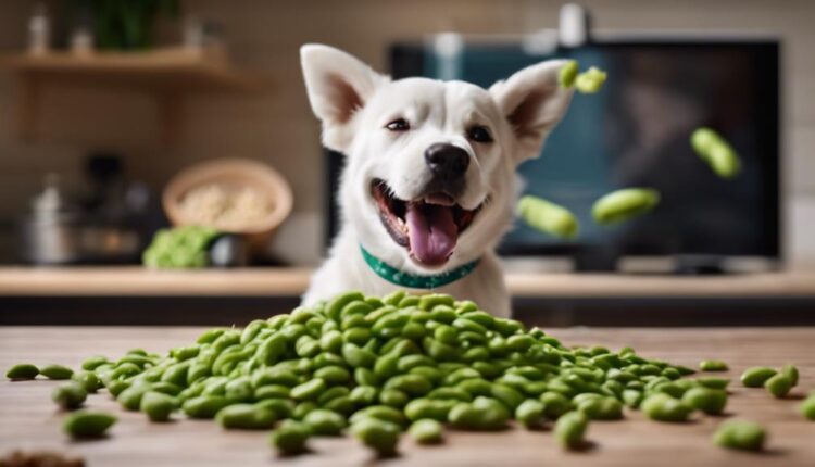 dogs can eat edamame