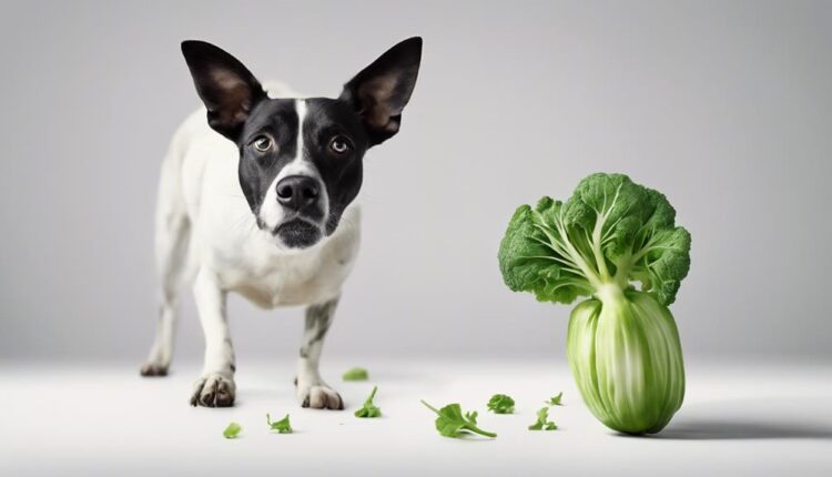 dogs can eat kohlrabi