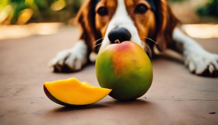 dogs can eat mango