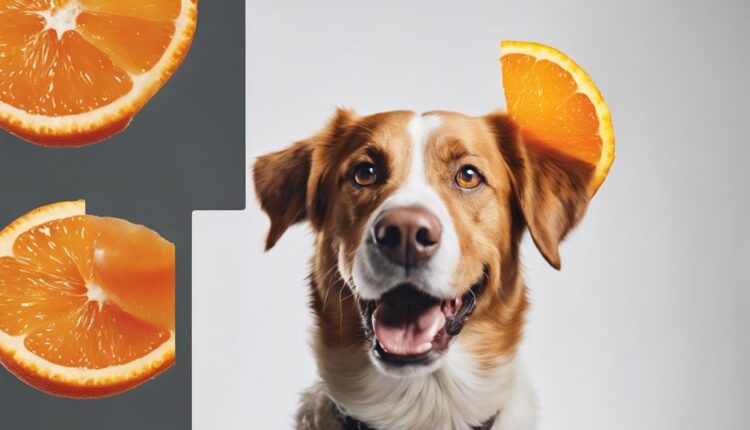 dogs can eat oranges