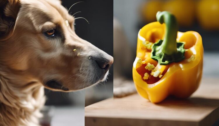 dogs can eat peppers