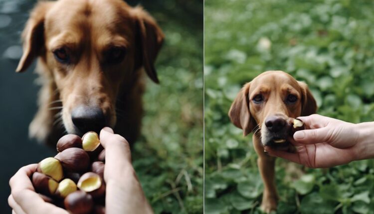 dogs can eat safely