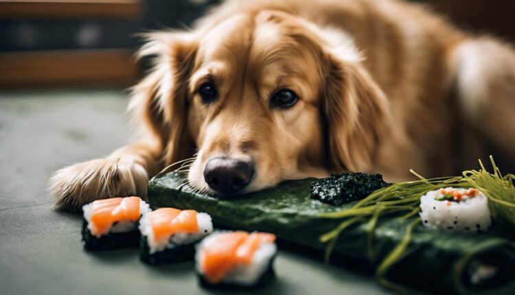 dogs can eat seaweed