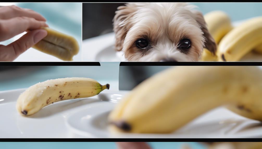frozen treats for dogs