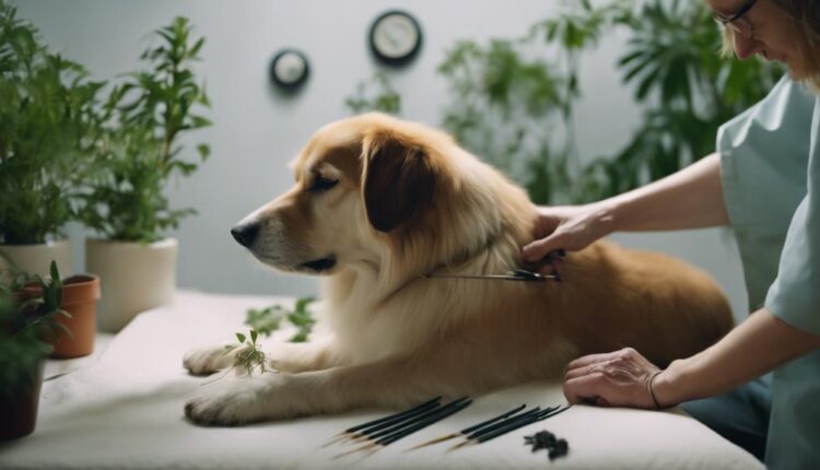 healing dogs with needles