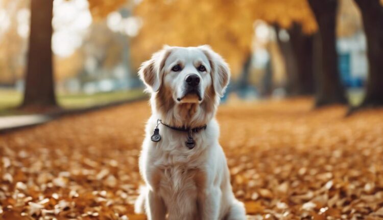 healthy coat for canines