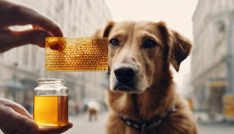 honey can harm dogs