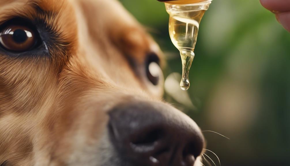 natural health remedy uses