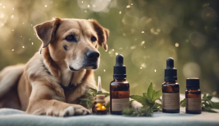 natural remedies for dogs