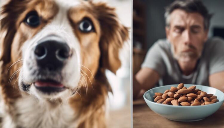 potential toxicity for canines