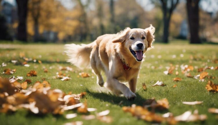 relieving canine joint pain