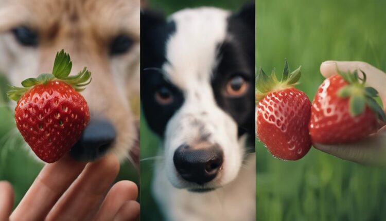 safe for canine consumption